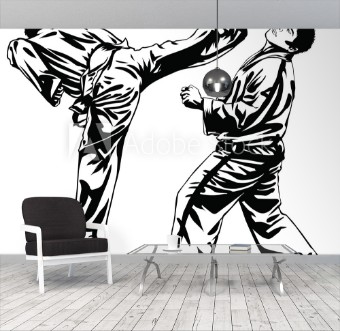 Picture of Tae Kwon Do